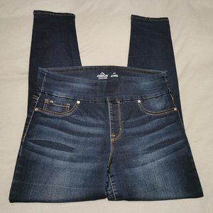 Jordache Distressed Dark Pull-On Skinny Jeggings